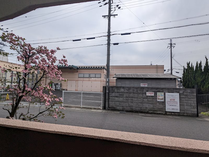 シャトーアルバⅡ その他6