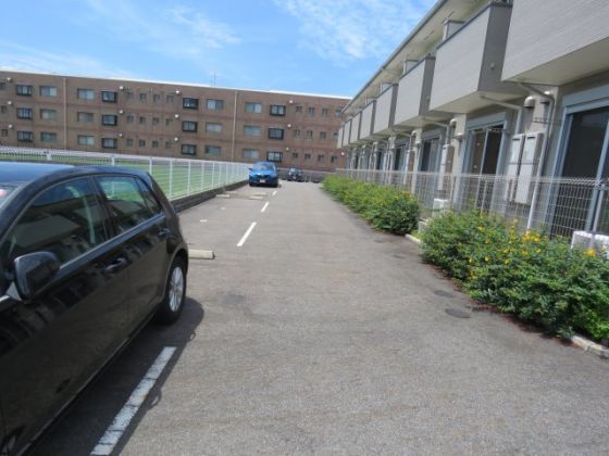 エフティグラン その他1