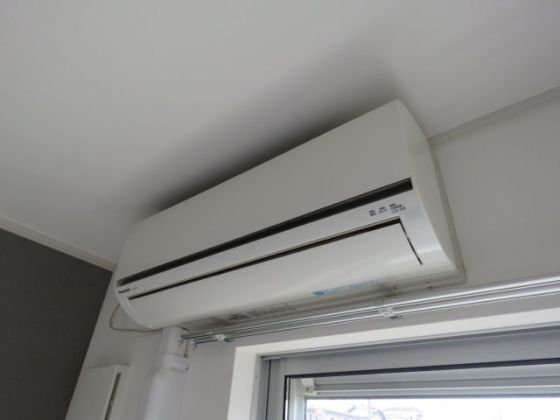 エフティグラン その他3