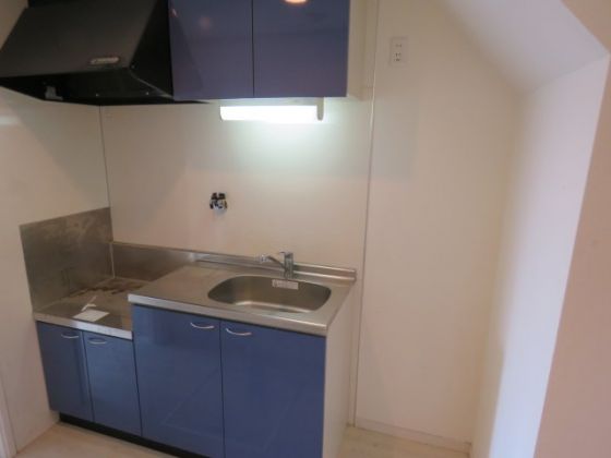 エフティグラン その他13