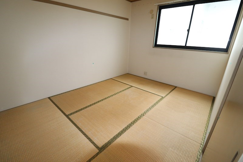 プリムラ その他4