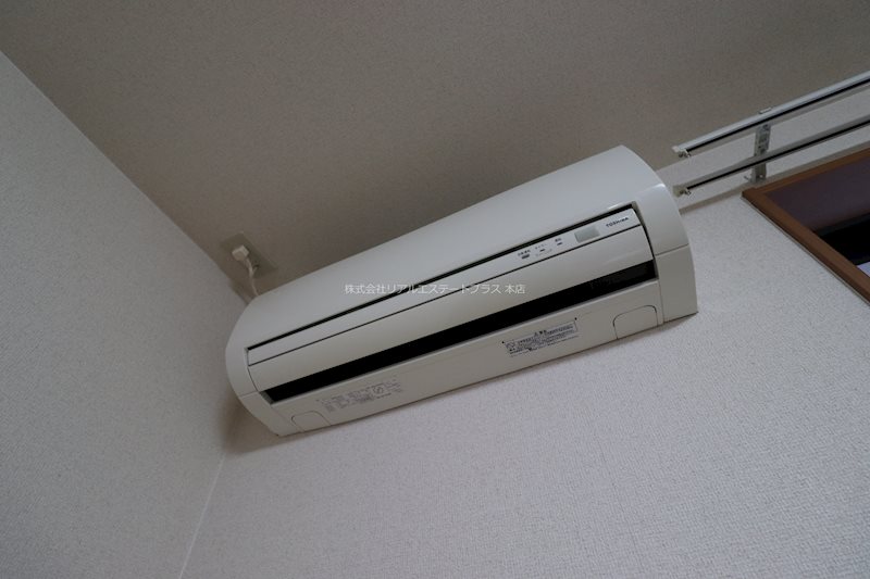 エターナル　Ｋ・Ｔ その他5