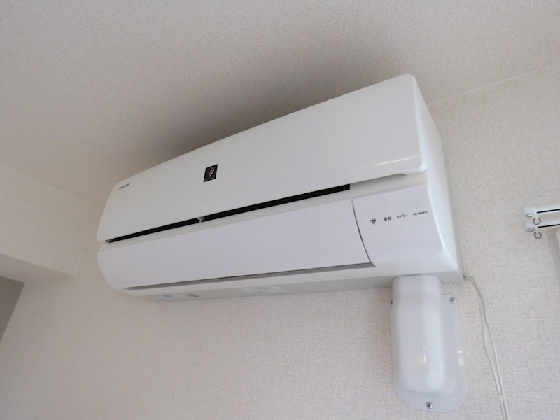 ボナール・ヴィーブルⅢ  その他1