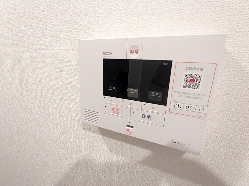 Luzlazo　Esy その他10