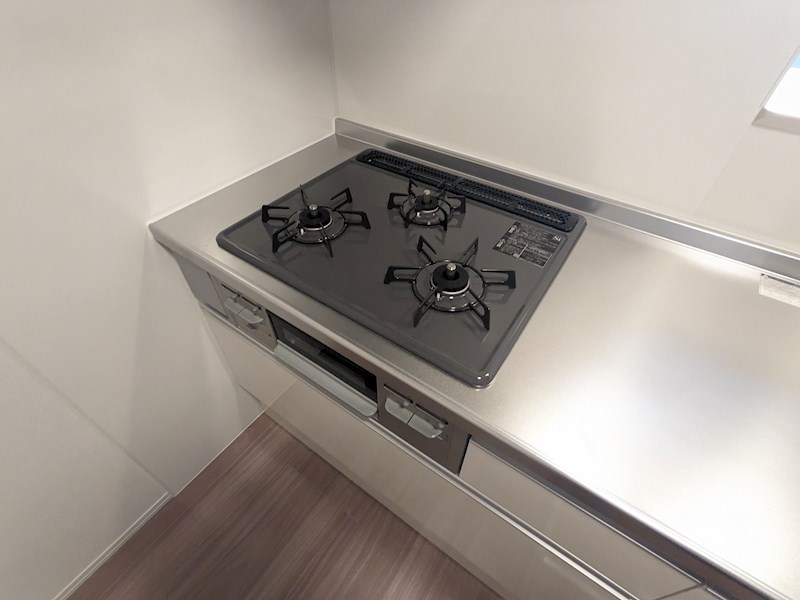 Luzlazo　Esy その他13