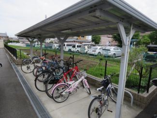 フリージア その他2