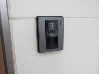 フリージア その他11