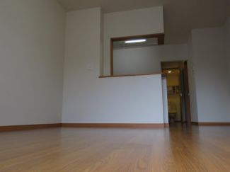 フリージア その他16