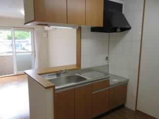 フリージア その他19