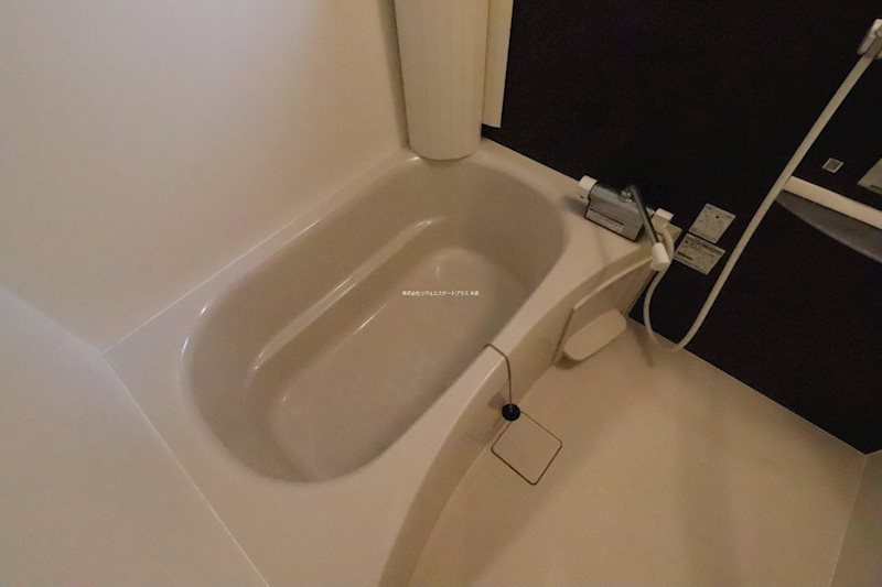 Reposer Akane 風呂画像