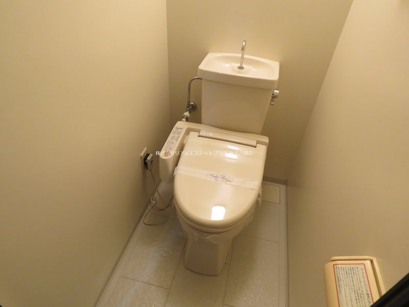 シオン その他1