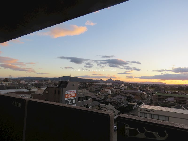 シオン その他3