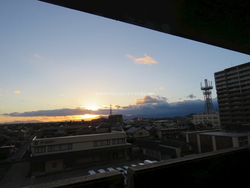 シオン その他3