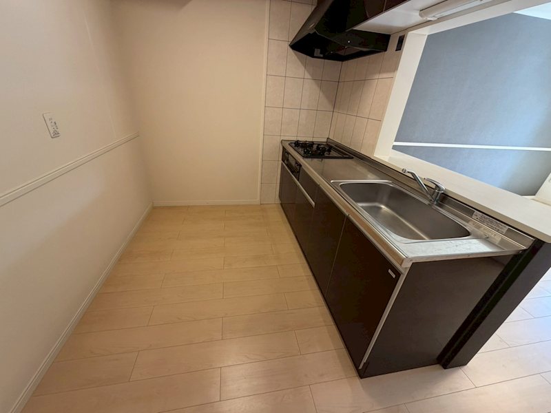 レゾン　デートル その他10