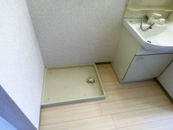 コスモ林 その他3