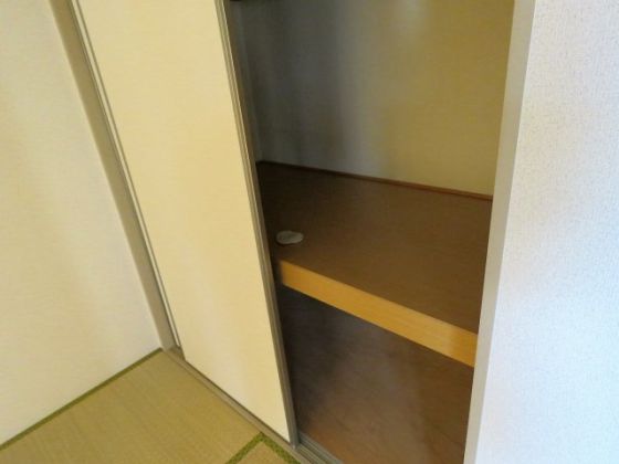 コスモ林 その他4