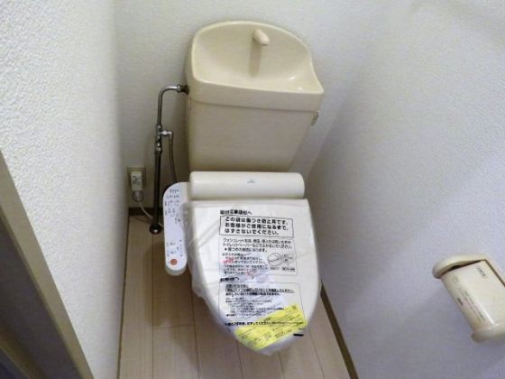 コスモ林 その他5