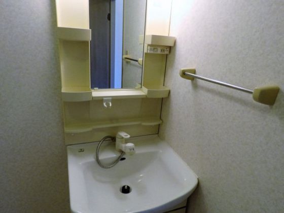 コスモ林 その他11