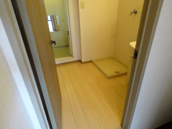 コスモ林 その他12