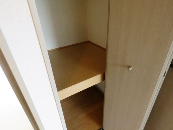 コスモ林 その他16