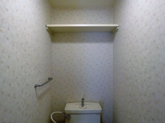 コスモ林 その他18