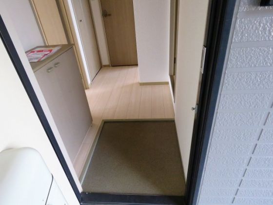 コスモ林 その他19