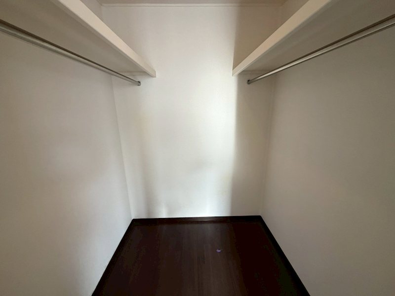 アンジェリック その他6