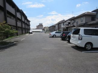 ダンデライオン その他1