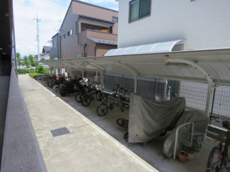 ダンデライオン その他3
