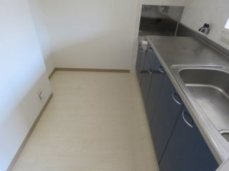 ダンデライオン その他15