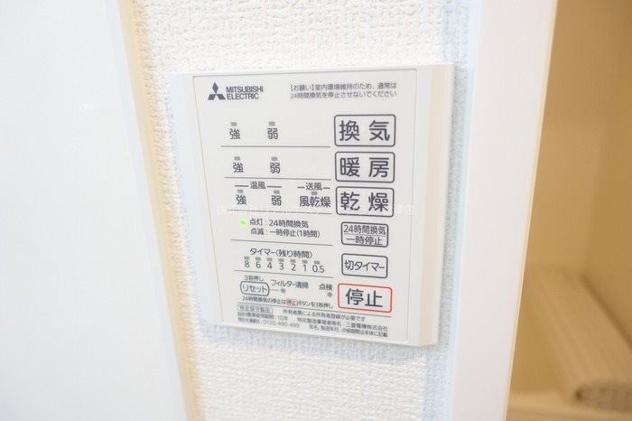 Luzlazo　Esy その他15