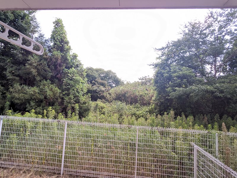 オーベルジュ その他6