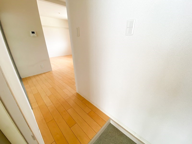 グリーンヴィレッジA 玄関