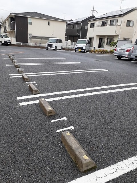 カモミール その他4
