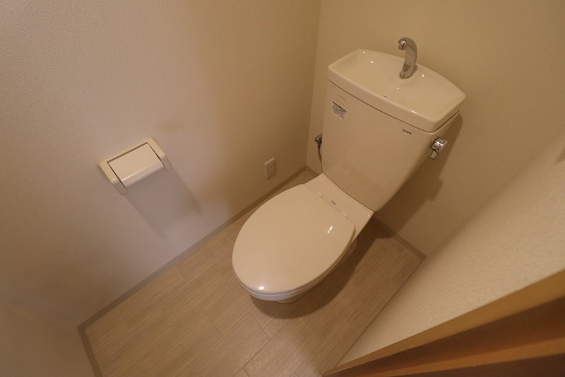 Celeste Juno その他1