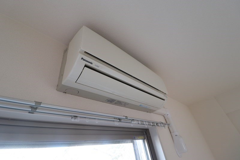 Celeste Juno その他5