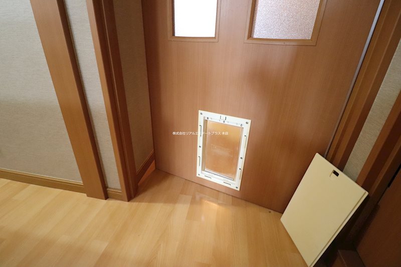 continuare その他8