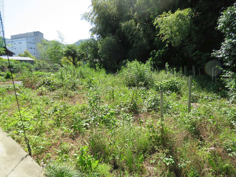 東近江市佐生町貸家 ベランダ