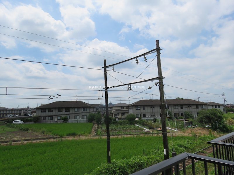 Woodstock Nest その他4