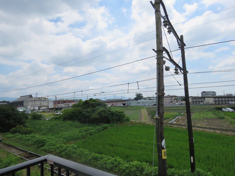 Woodstock Nest その他4