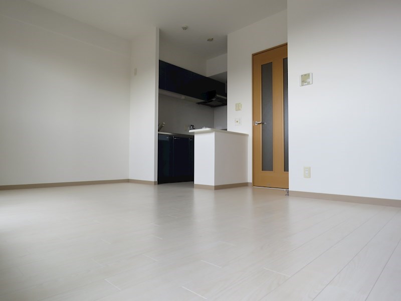 らんずFⅠ その他10