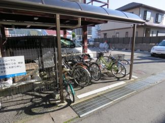 シャインローヤル その他8
