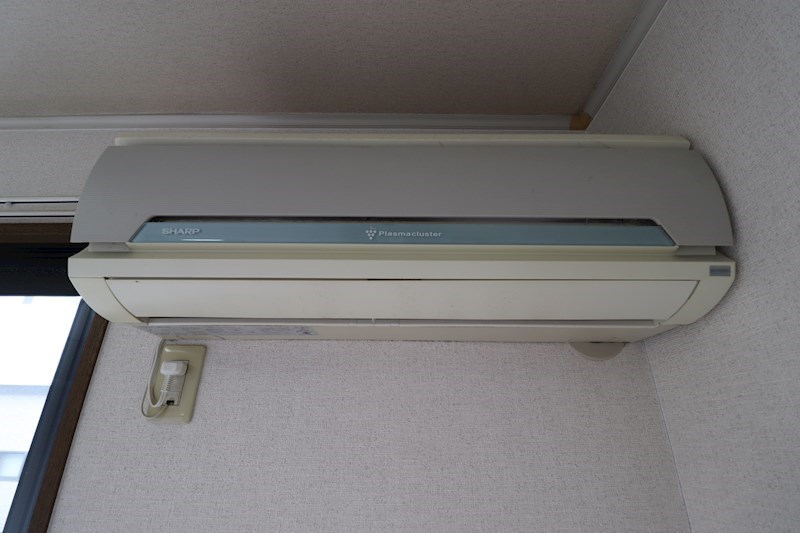 フレマリール林 その他8