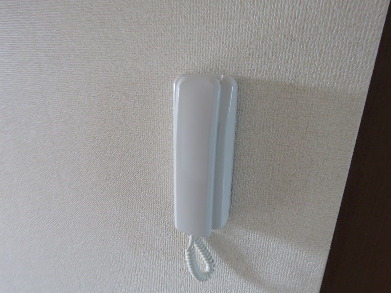 WAKABA  その他8