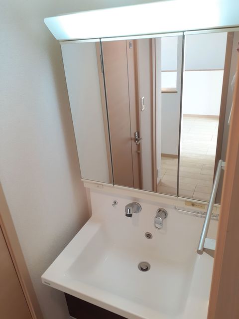 Ｌｕｐｉｃｏｎ　Ｍｉｚｕｈｏ その他1