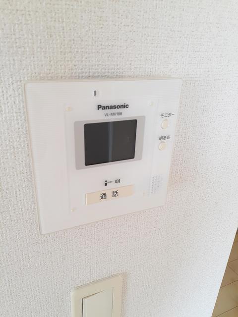 Ｌｕｐｉｃｏｎ　Ｍｉｚｕｈｏ その他4