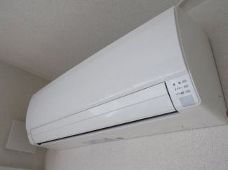 フリージア その他4