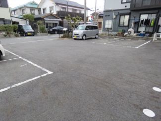ハミングバード  その他2