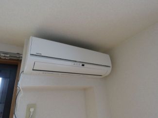 ハミングバード  その他4
