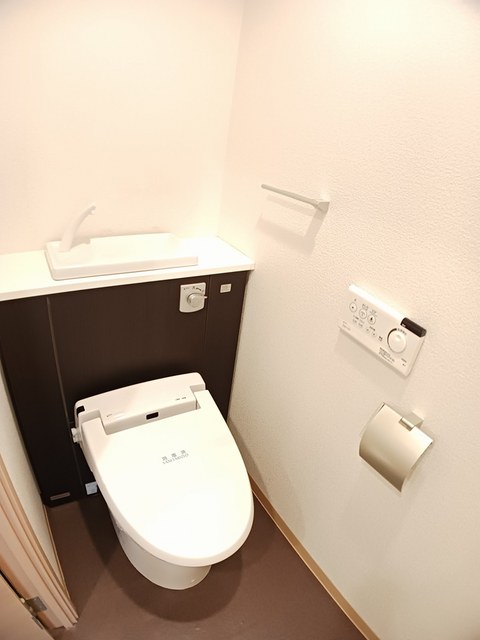 カモミール その他2